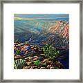Grand Canyon Sun Rays At Desert View Point Overlooking The Colorado River, Arizona Framed Print