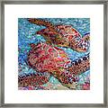 Grand Sea Turtles Framed Print