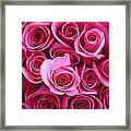 Grandma Roses Framed Print