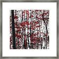 Graphic Nature Framed Print