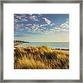 Grass On The Dunes, Vada White Sand Beach . Rosignano, Tuscany, Framed Print