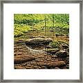 Grassy Bank Stream Framed Print