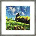 Grassy Mountainside Framed Print