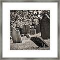 Grave Yard3 Framed Print