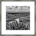 Gray Scale Outdoors Pinelands Framed Print