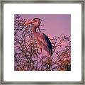 Great Blue Heron - Artistic 6 Framed Print