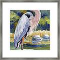 Great Blue Heron In A Stream Ii Framed Print