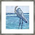 Great Blue Heron Framed Print