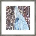 Great Blue Heron Framed Print