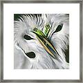 Great Egrets In Love Framed Print