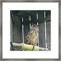 Great Horned Owl In A Corner Framed Print