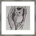 Great Horned Owl Framed Print