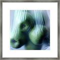 Green Apples Framed Print