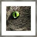 Green Cats Eye Framed Print