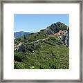 Green Expanse And Ascent To The Crest Framed Print