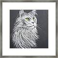 Green Eyed Cat Framed Print