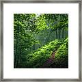 Green Forest Framed Print