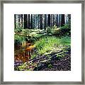 Green Grass And Reddish-brown Water 3 Framed Print