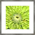 Green Framed Print