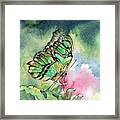 Green Malachite Butterfly Framed Print