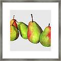 Green Pears - Solid Background Framed Print