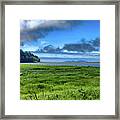 Green Reed Sea Framed Print