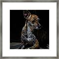 Grigi Is Our Instigator Framed Print