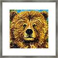 Grizzly Bear Ii Framed Print