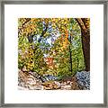 Guadalupe Fall Colors Framed Print