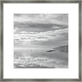 Gulls And Reflection Black And White Framed Print