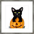 Halloween Cat Framed Print