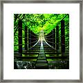 Hananuki Gorge Japan Framed Print