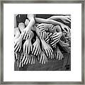 Hands Framed Print