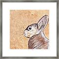 Handsome Hare Framed Print