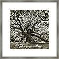 Hang In There Framed Print