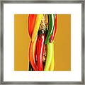 Hanging Chile Peppers On Yellow Background Framed Print