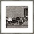 Hanging Clothes Of Venice Framed Print