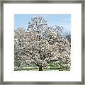 Happiness In Spring Framed Print