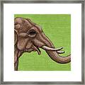 Happy Asian Elephant Framed Print