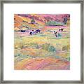 Happy Cows, Tomales Bay Framed Print