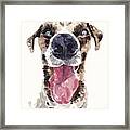 Happy Dog Framed Print