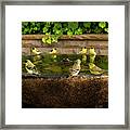 Happy Hour At The Watering Hole Framed Print