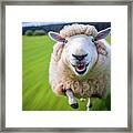 Happy Running Animal 01 Cute Sheep Framed Print