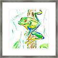 Happy Tree Frog Framed Print