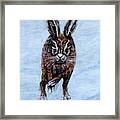 Hare Running Framed Print