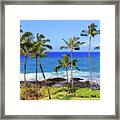 Hawaiian Palm Trees Framed Print
