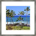 Hawaiian Palms Framed Print