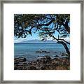 Hawaiian Shores Framed Print