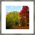 Hawthorn Pond Framed Print