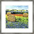 Hay Bales And Wildflowers Framed Print
